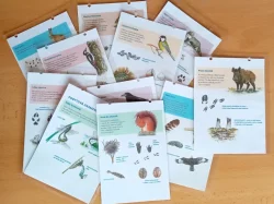 Náhled článku Zajímavé aktivity v lednu 2025