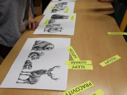 Čtenářská gramotnost: Úžasný svět bajek